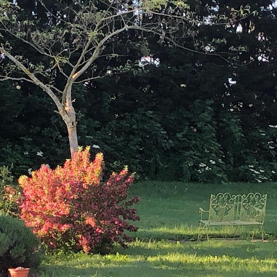 Domaine En Castanet Bed & Breakfast Caraman Bagian luar foto