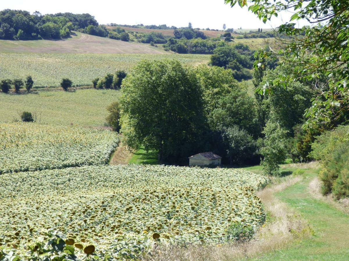 Domaine En Castanet Bed & Breakfast Caraman Bagian luar foto